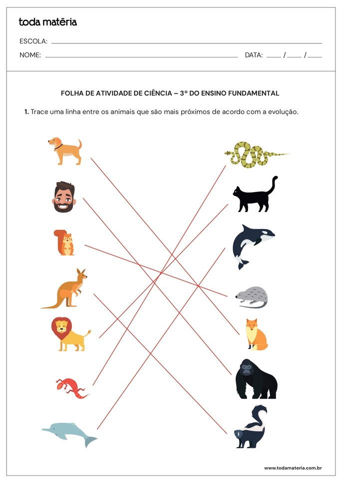 Resposta da folha de atividade 05 - 3º ano do fundamental - ciências - animais