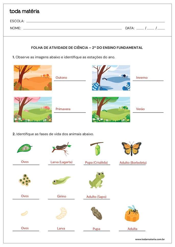 Resposta da folha de atividade 03 de ciências para o fundamental - 2 ano