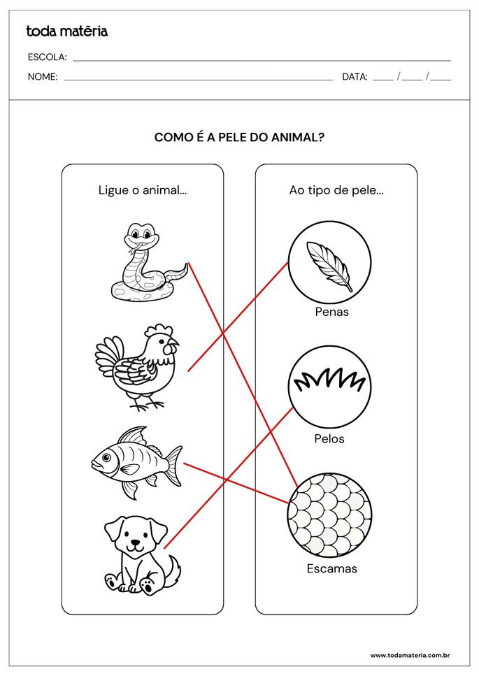 Atividades de ligar tipos de pele dos animais dom&eacute;sticos e selvagens para 1&ordm; e 2&ordm; anos_respostas