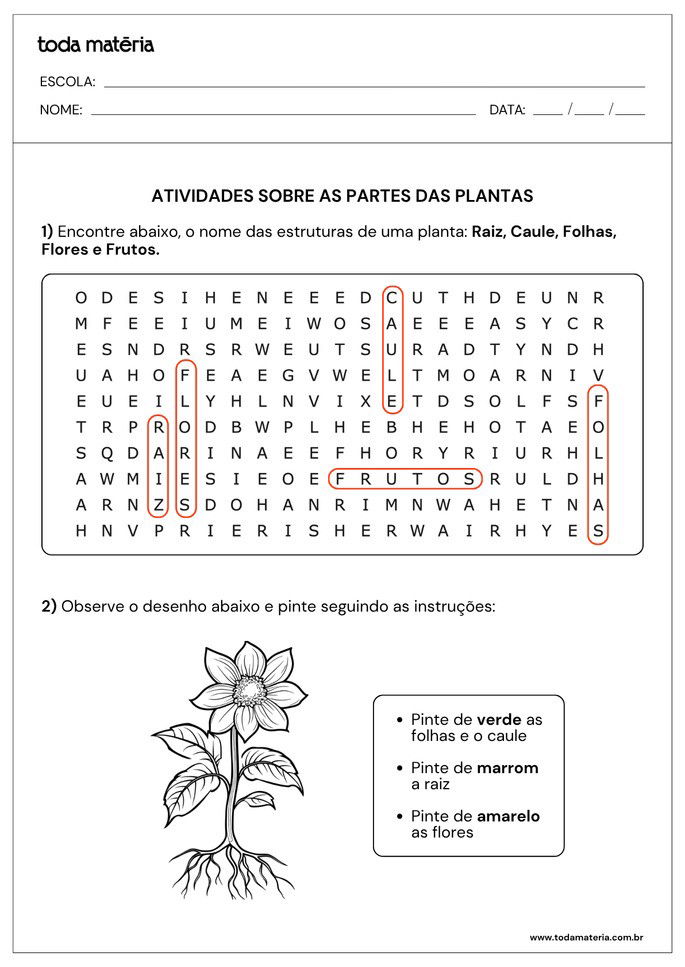Resposta de Atividade sobre partes de plantas para alunos do 2&ordm; ano do Ensino Fundamental