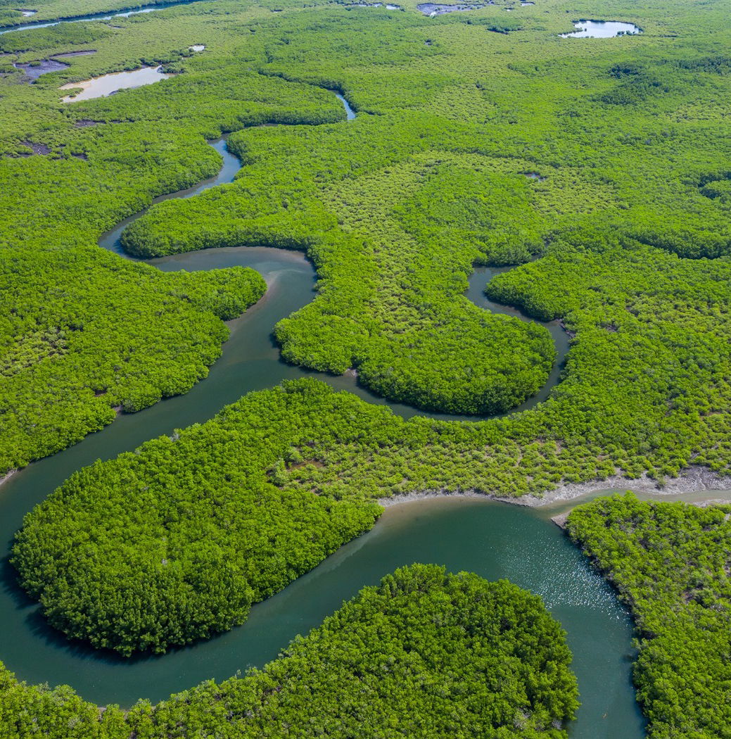 Imensidão do Rio Amazonas