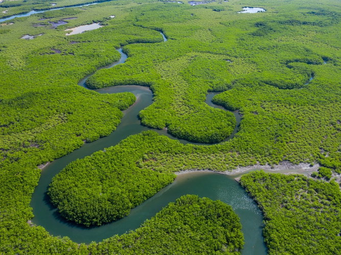 Rio Amazonas