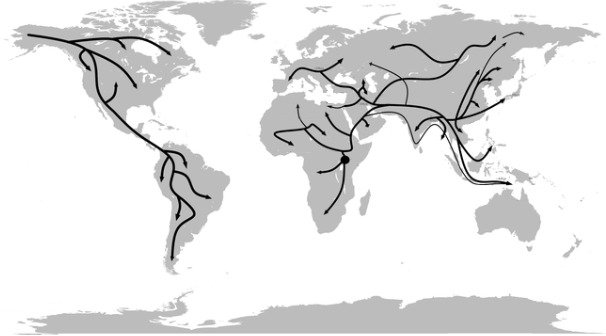 Rotas de migração humana na Pré-História