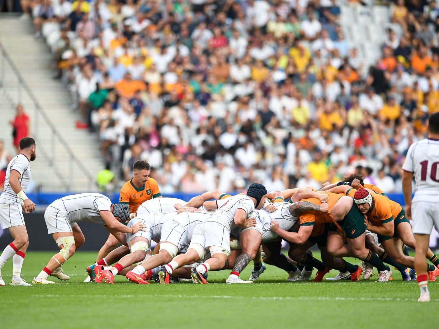 Eu só quero jogar rugby