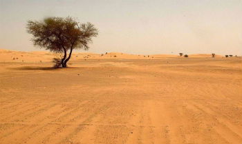 Imagem do deserto do Saara