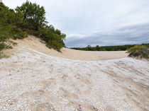 Sambaquis: o que são e sua importância histórica