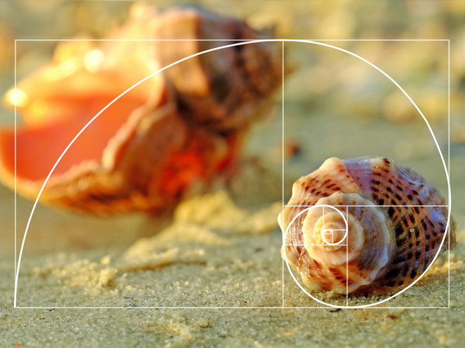Sequência de Fibonacci: entenda o que é e como funciona (com exemplos)