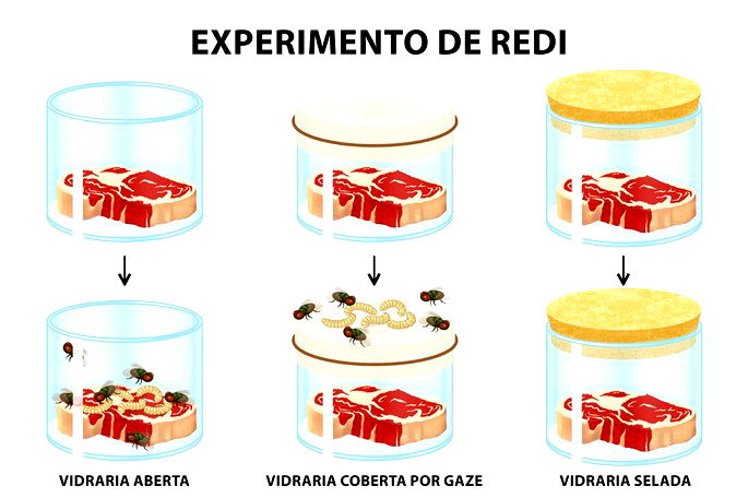 Quando os experimentos com a Matéria vermelha dão TERRIVELMENTE ERRADO! :  r/PuddingsUtopia