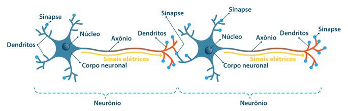 neurônios