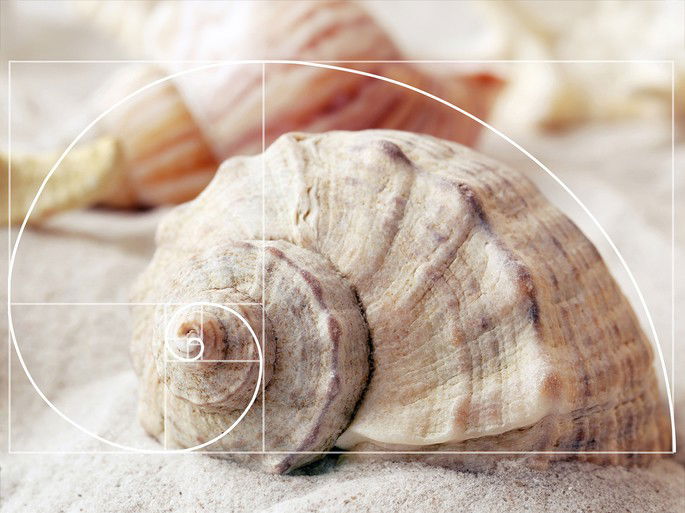 Sequência/espiral de Fibonacci