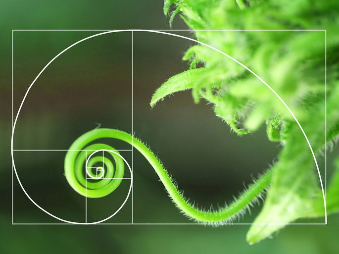 Sequência/espiral de Fibonacci