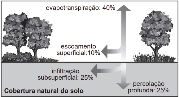 imagem de arvores e solo evapotranspiração: 40% escoamento superficial:10% infiltração subsuperficial: 25% Cobertura natural do solo percolação profunda: 25%