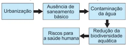 Urbanização Ausência de saneamento Riscos para saúde humana Contaminação da água Redução da biodiversidade aquática