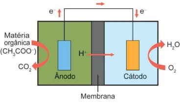 Esquema uma CCM e as reações envolvidas