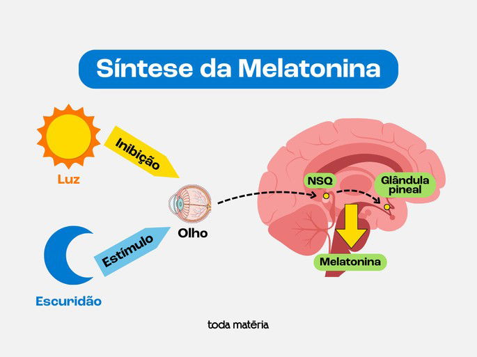 esquema da síntese da melatonina