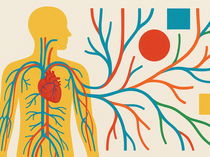 Sistema Circulatório