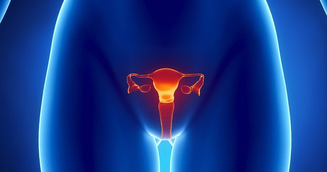 Sistema Reprodutor Feminino