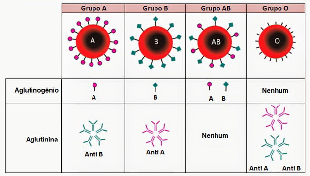 Grupo Anti Grupos