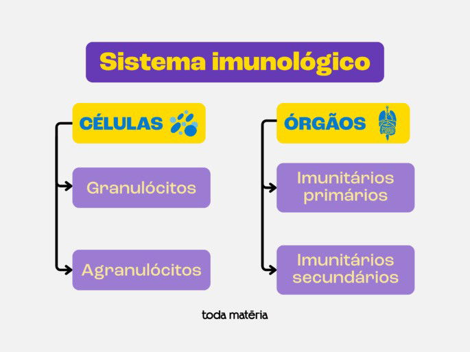 Sistema imunológico.