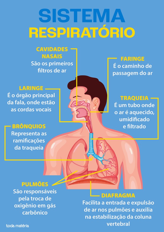 Sistema Respirat rio Toda Mat ria Sistema Respirat rio Toda Mat ria