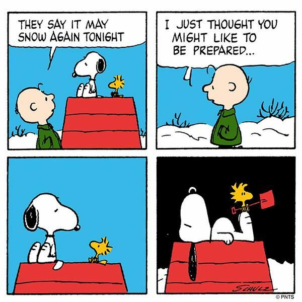 Tirinha com o personagem Snoopy