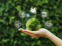 Sustentabilidade: o que é, conceito e seus tipos (com exemplos)