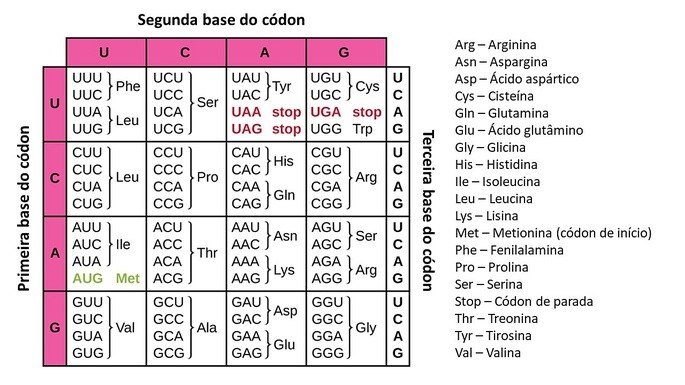 Tabela de codons