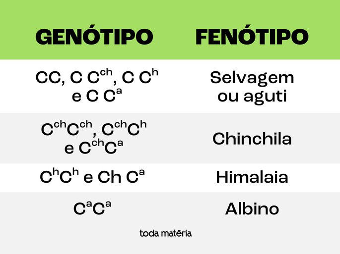 Tabela de fenótipos e genótipos para coelhos