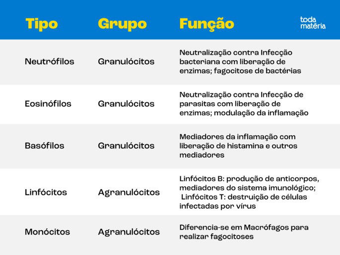 Tabela de células de defesa do organismo com suas características e funções.