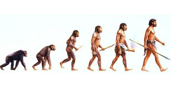 Resultado de imagem para teoria da evoluÃ§Ã£o