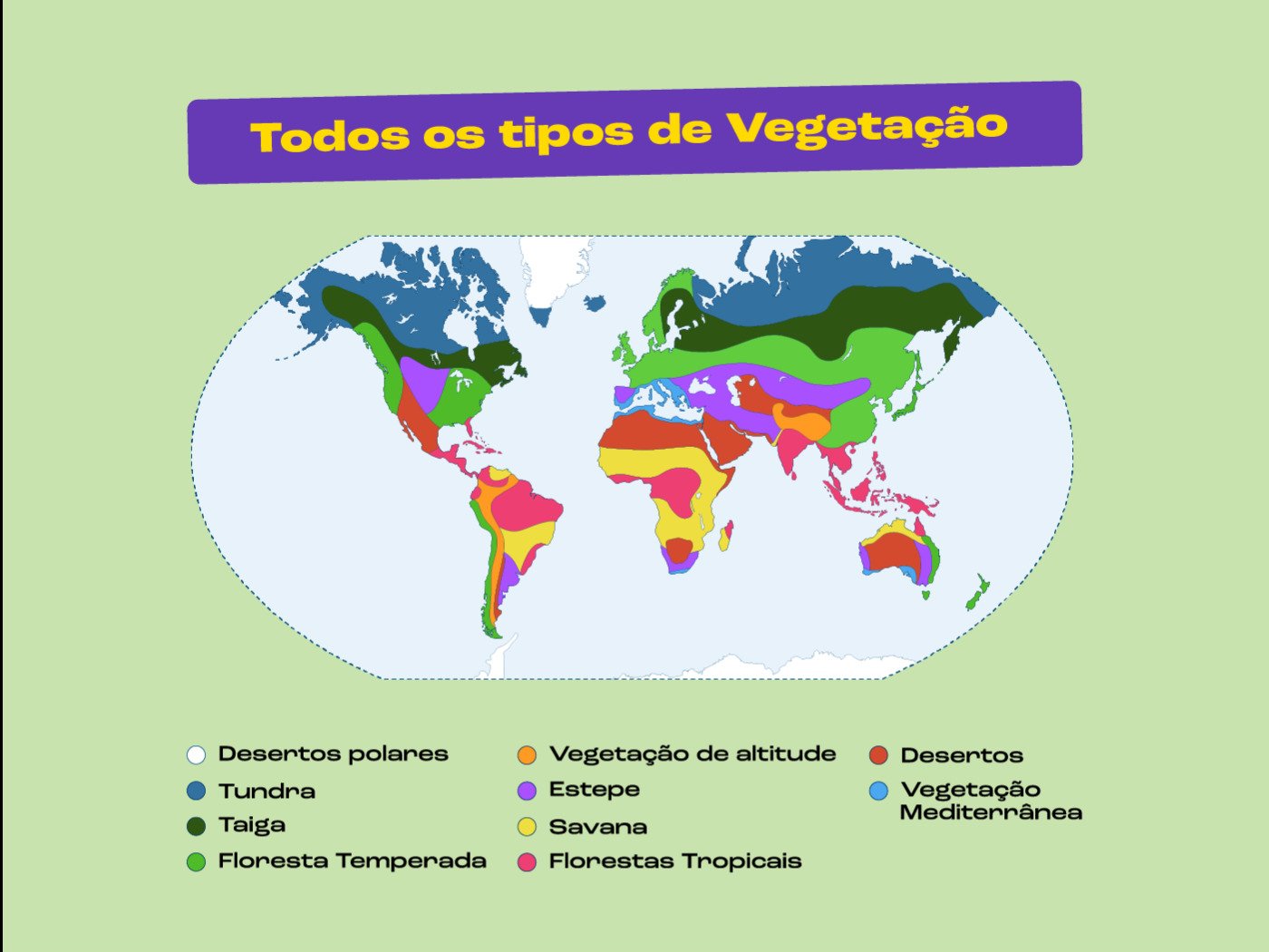 Principais tipos de vegetação do mundo - Toda Matéria