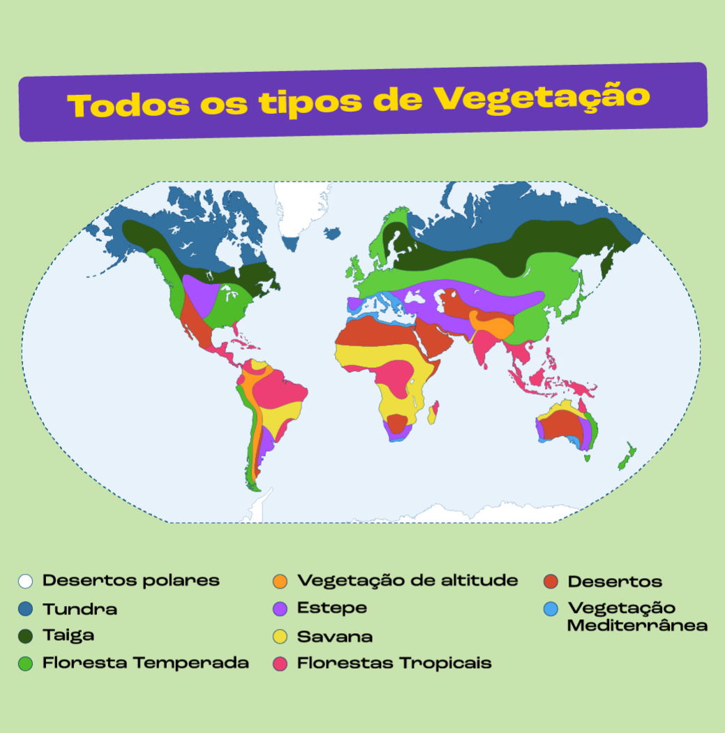 vegetação de altitude – ESPAÇO EM TRANSFORMAÇÃO