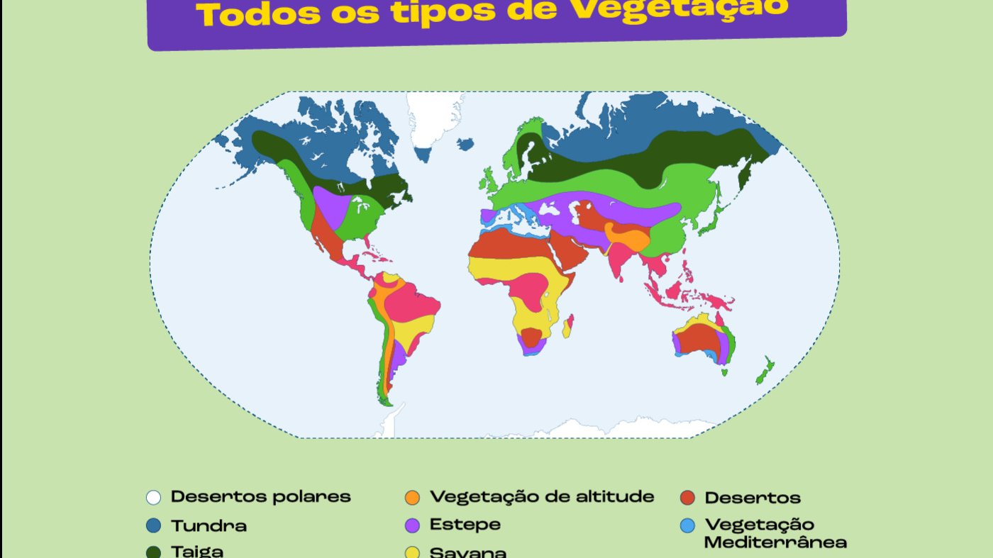 Principais tipos de vegetação do mundo - Toda Matéria