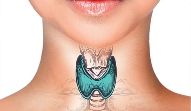 Tireoide