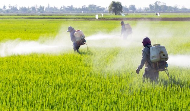 Agrotóxico na Agricultura