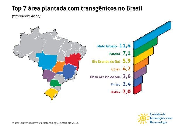 Produção de transgênicos no Brasil
