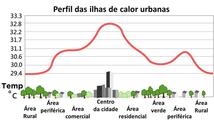 Desenho esquemático da vegetação em perfil correspondente a um