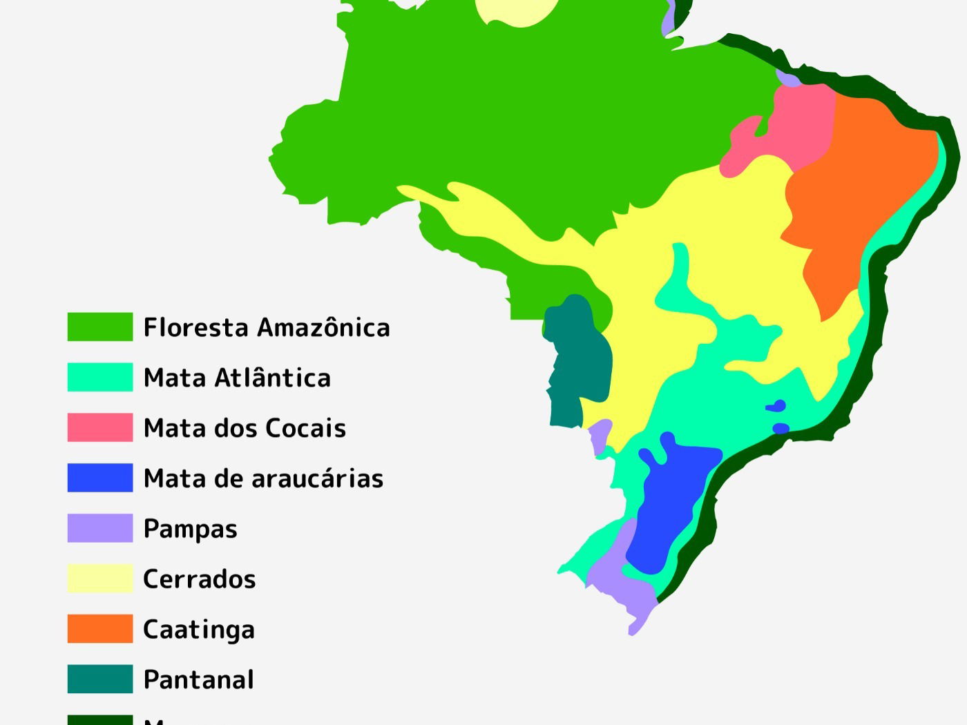 Tipos de vegetação. Os principais tipos de vegetação do Brasil