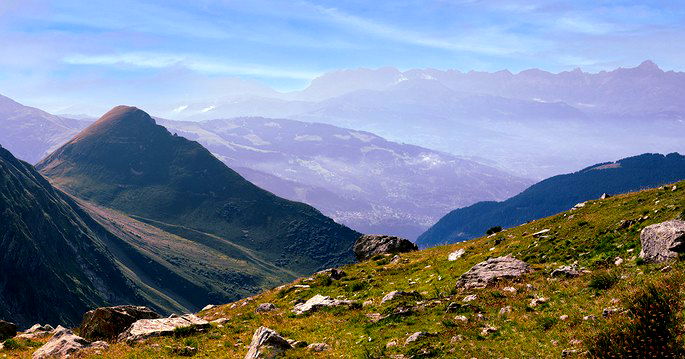 vegetação de altitude – ESPAÇO EM TRANSFORMAÇÃO