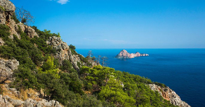 Vegetação mediterrânea