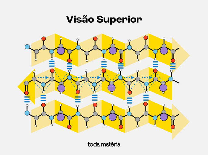 Estrutura beta pregueada da proteína
