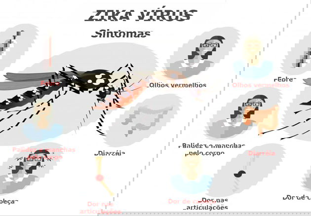 zika sintomas