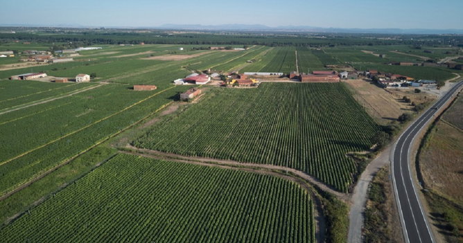 Zona Rural e Zona Urbana